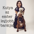 Miért mondjuk azt, hogy a "kutya az ember legjobb barátja"?