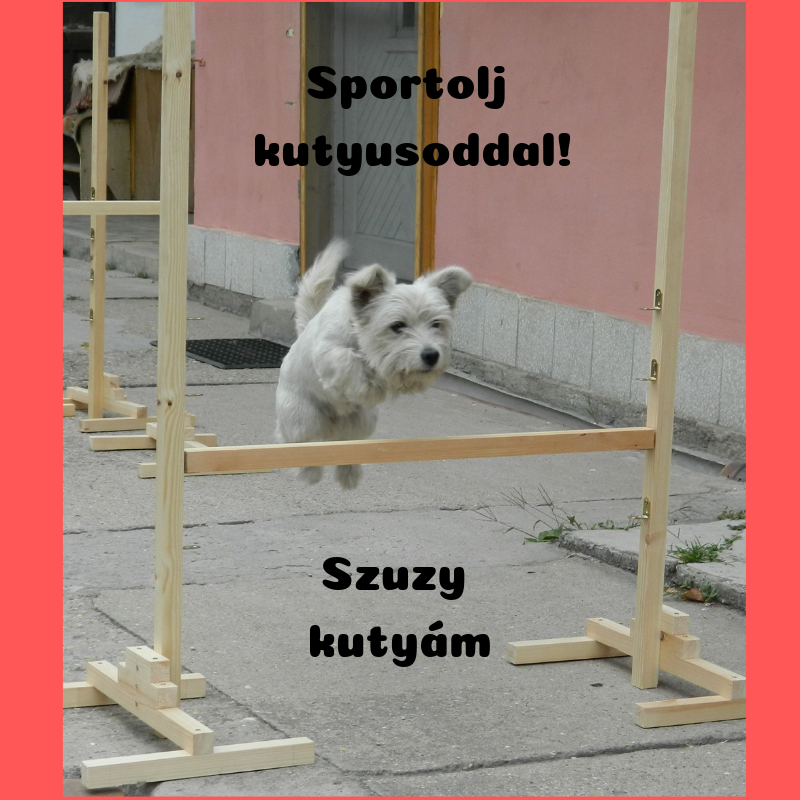 szuzy_sportol.png