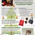 Állatok karácsonya Győrött