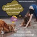 Ki a kutyakiképző? Ki a kutyatréner? Ki a kutyaoktató?