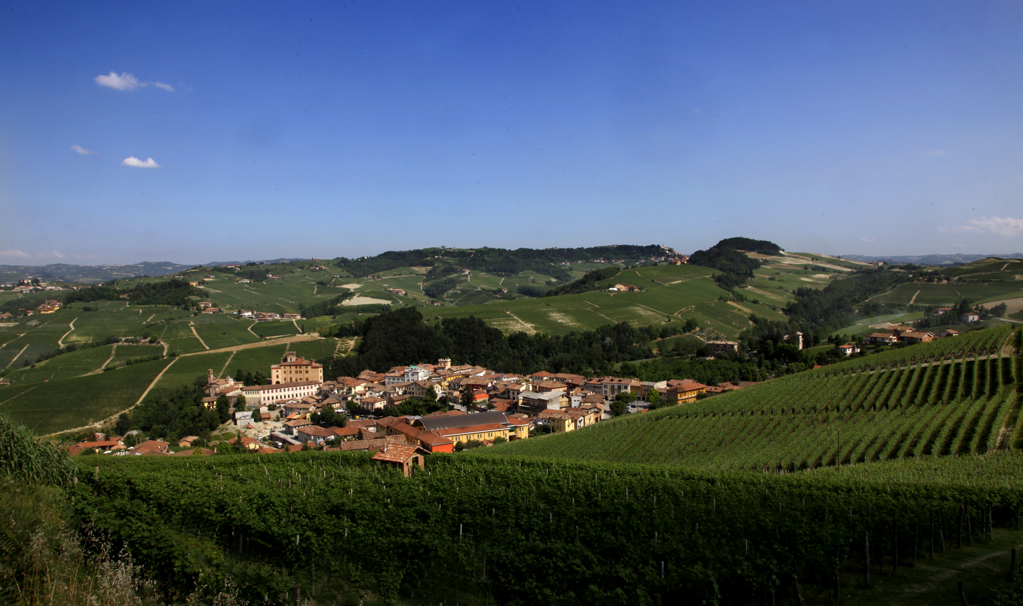 langhe_barolo_2.jpg