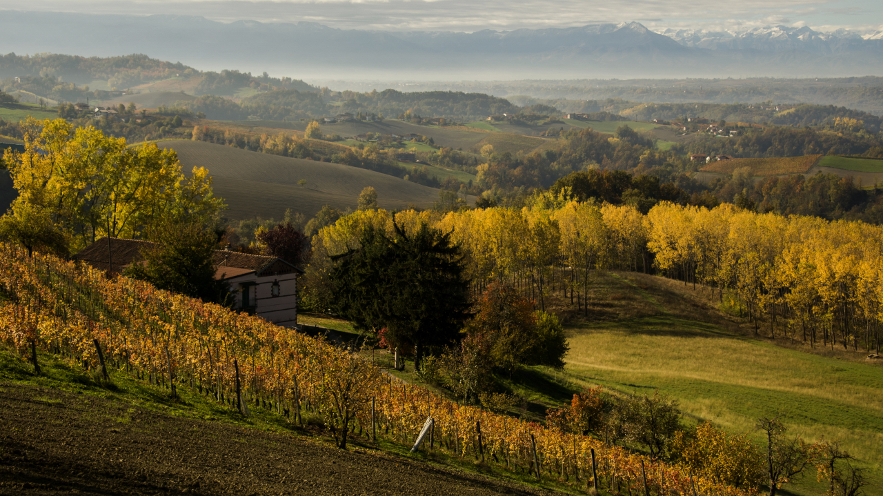 langhe_monforte.jpg