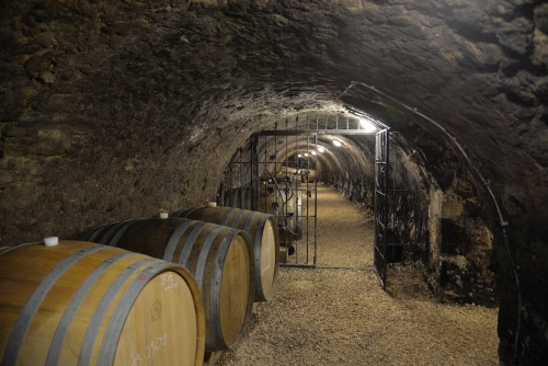 tokaj_3274_fb.jpg
