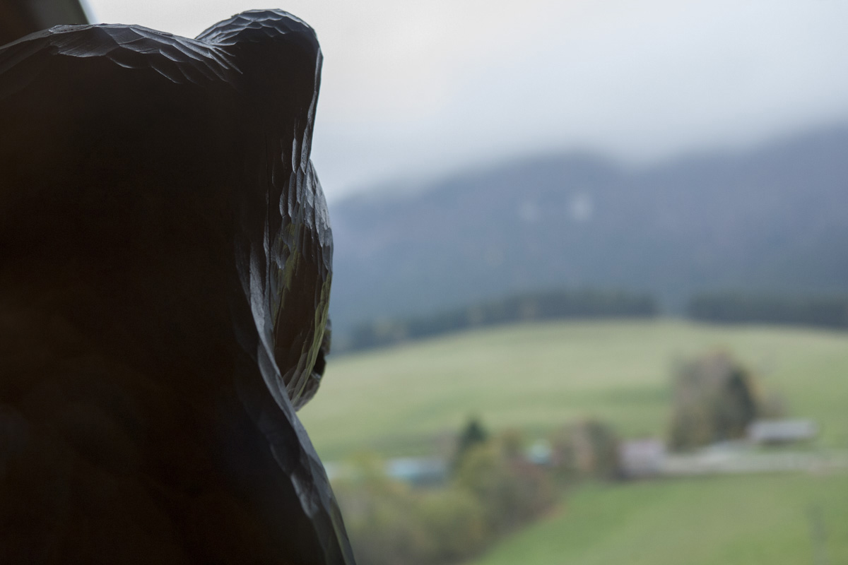 Velkám tu Szlovákia - Vár, skanzen és panoráma