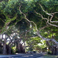 Coral Gables, Coconut Grove és Miami Zoo