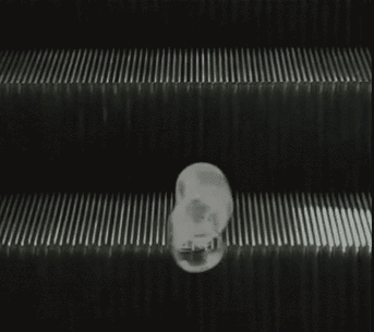 escalator-slinky.gif