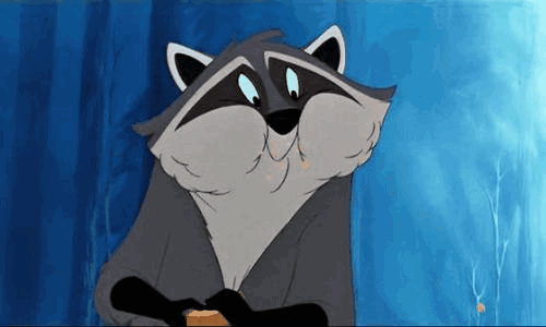 giphy_4.gif