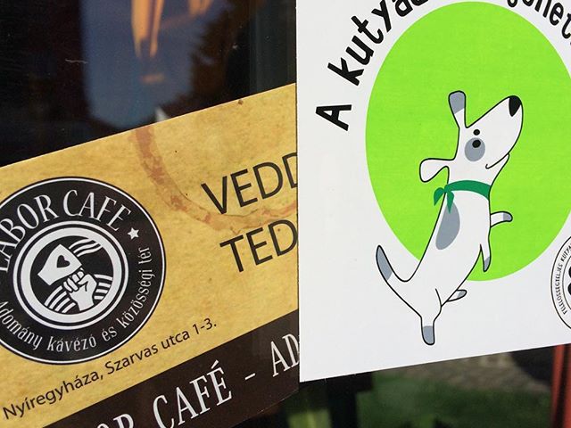 With this sticker, Labor Café finally validated as a dog friend café. Thanx EB OVO! - A Labor Café hivatalosan is kutyabarát hely. Köszi EB OVO Egyesület! #ebovo #laborcafe #nyiregyhaza #dogfriendly #charity #charitycafe