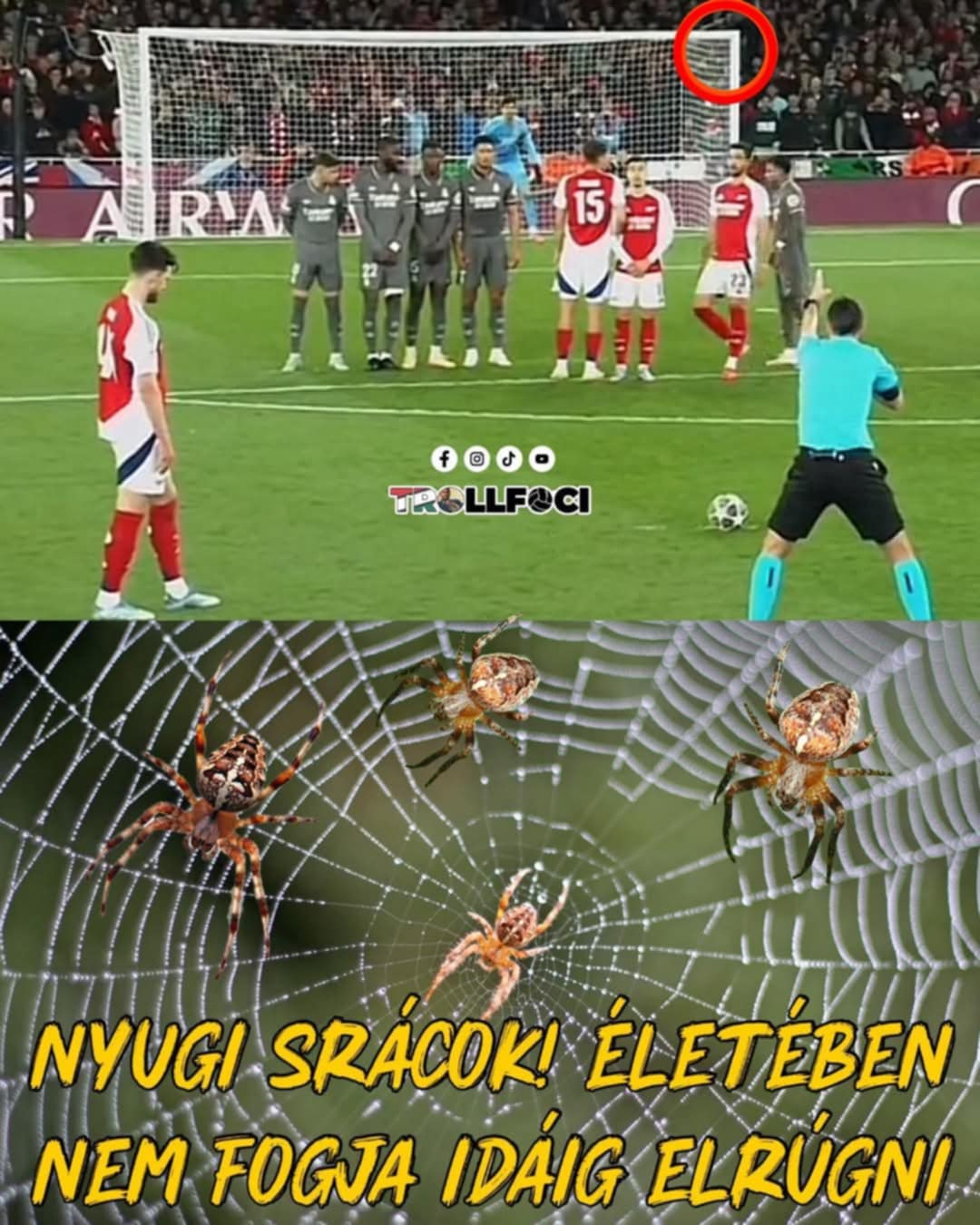 147.jpg