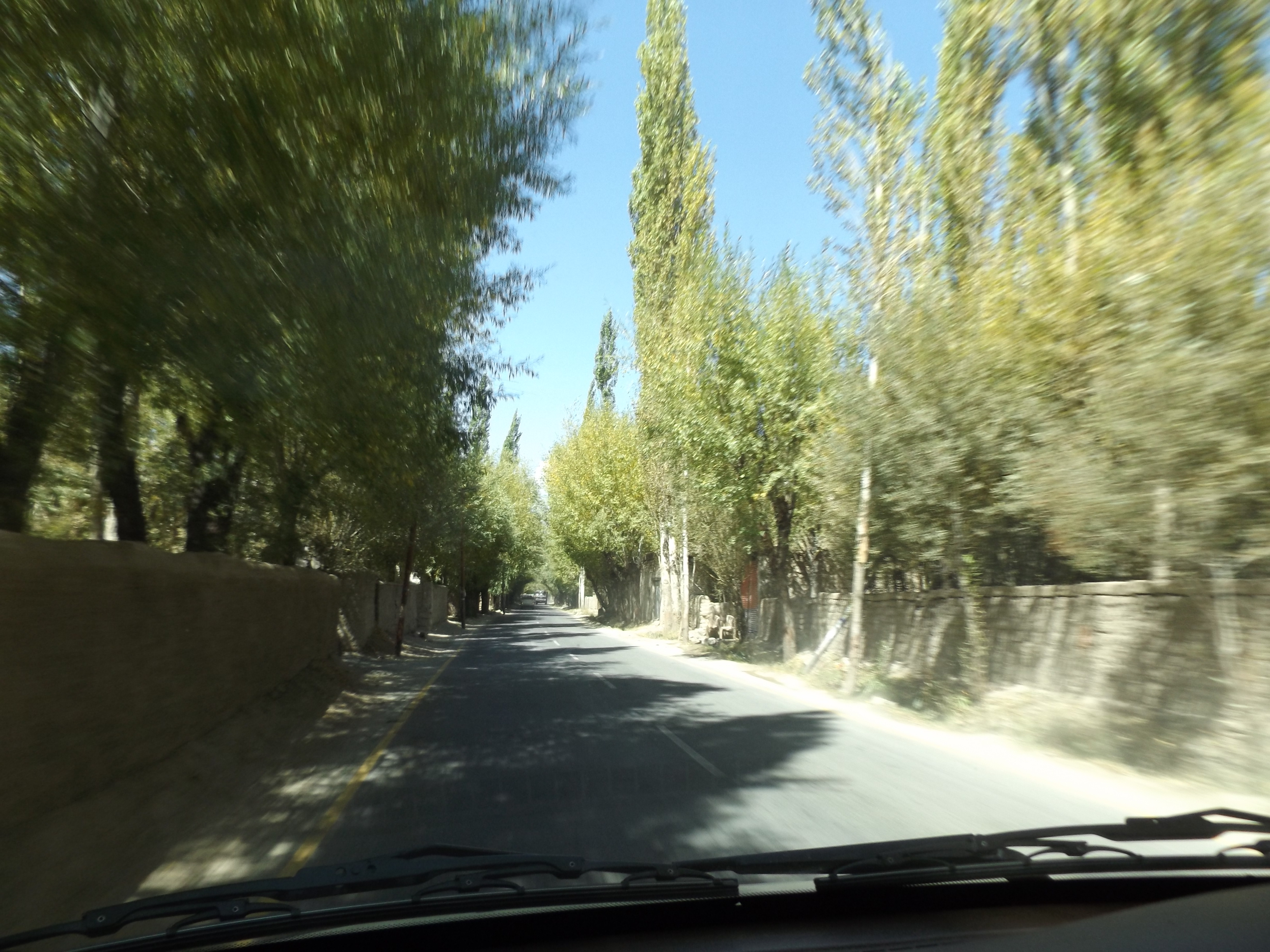 dscf3815.JPG
