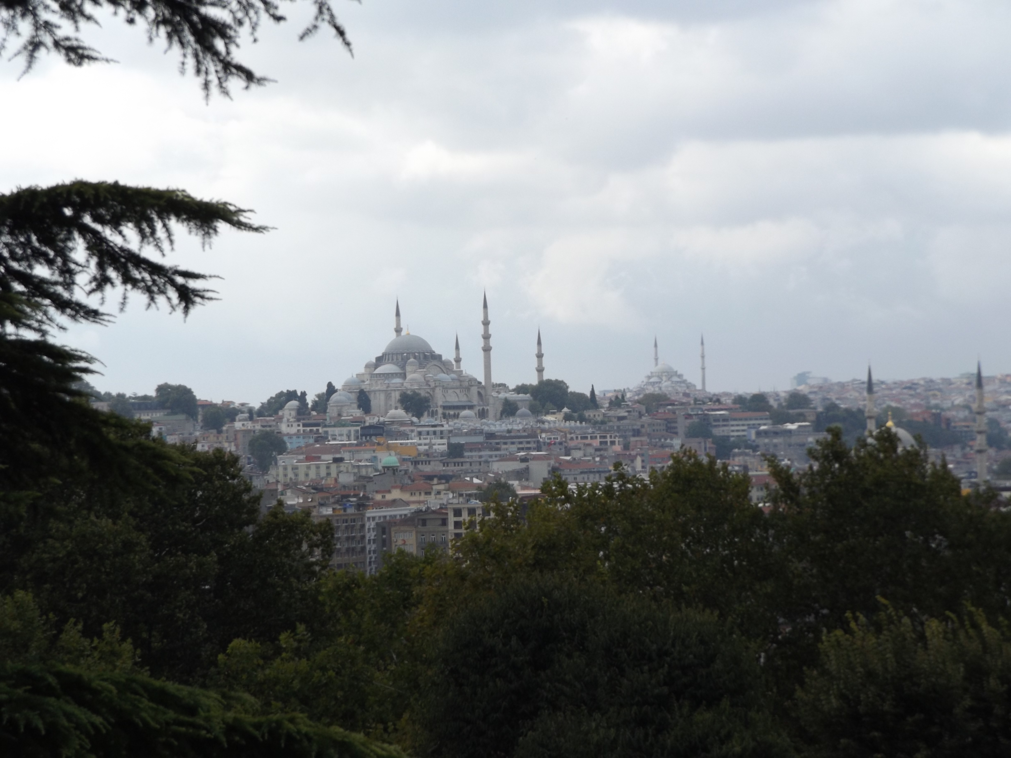 f102316488.jpg