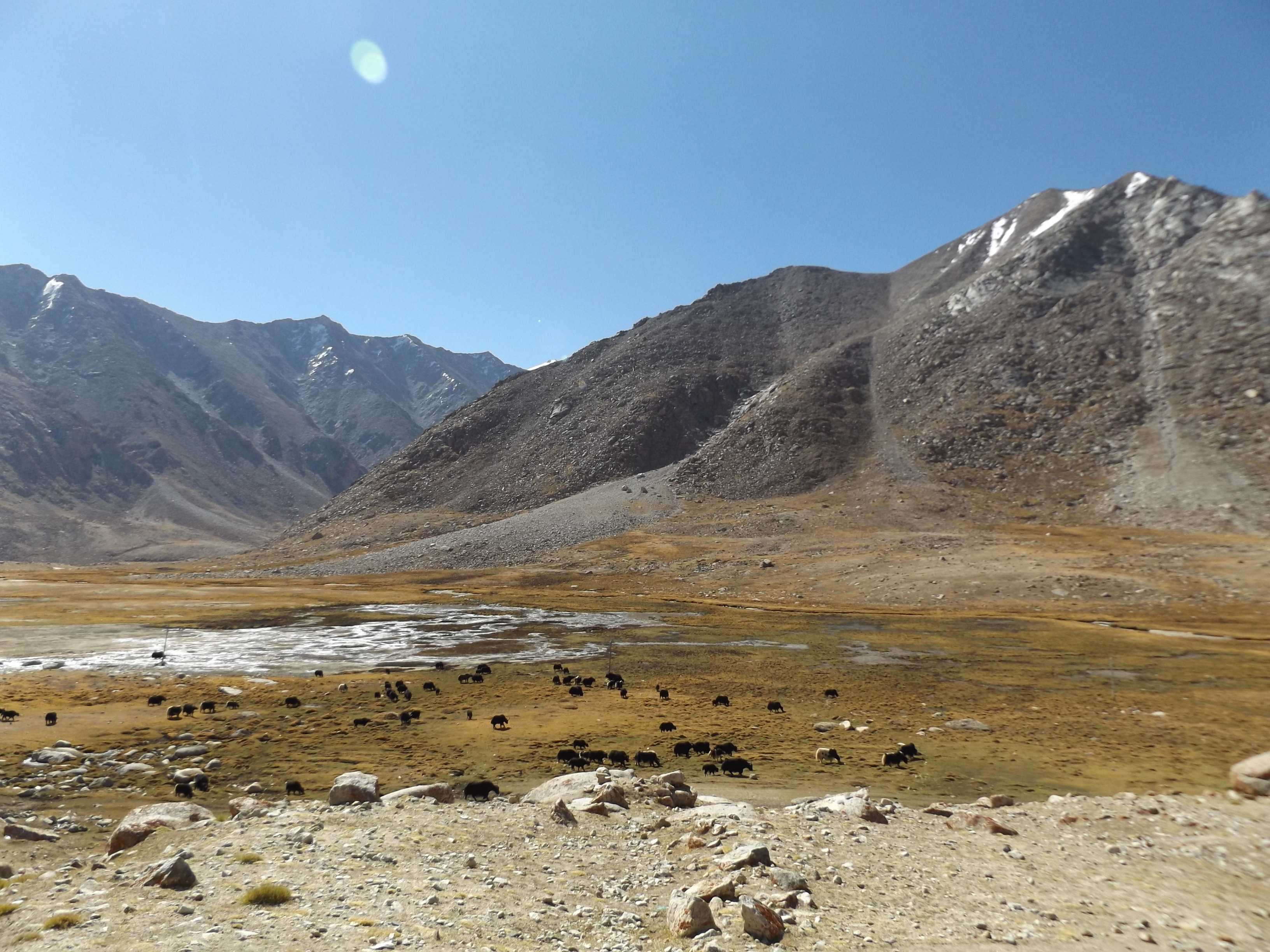 dscf4040.JPG