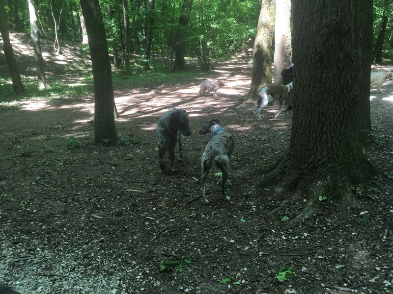 img_4516.jpeg