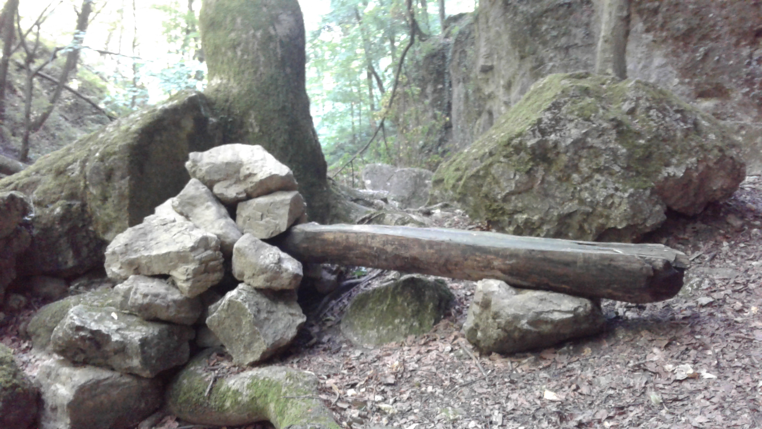 20180709_094534.jpg