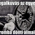 MEGALKUVÁS
