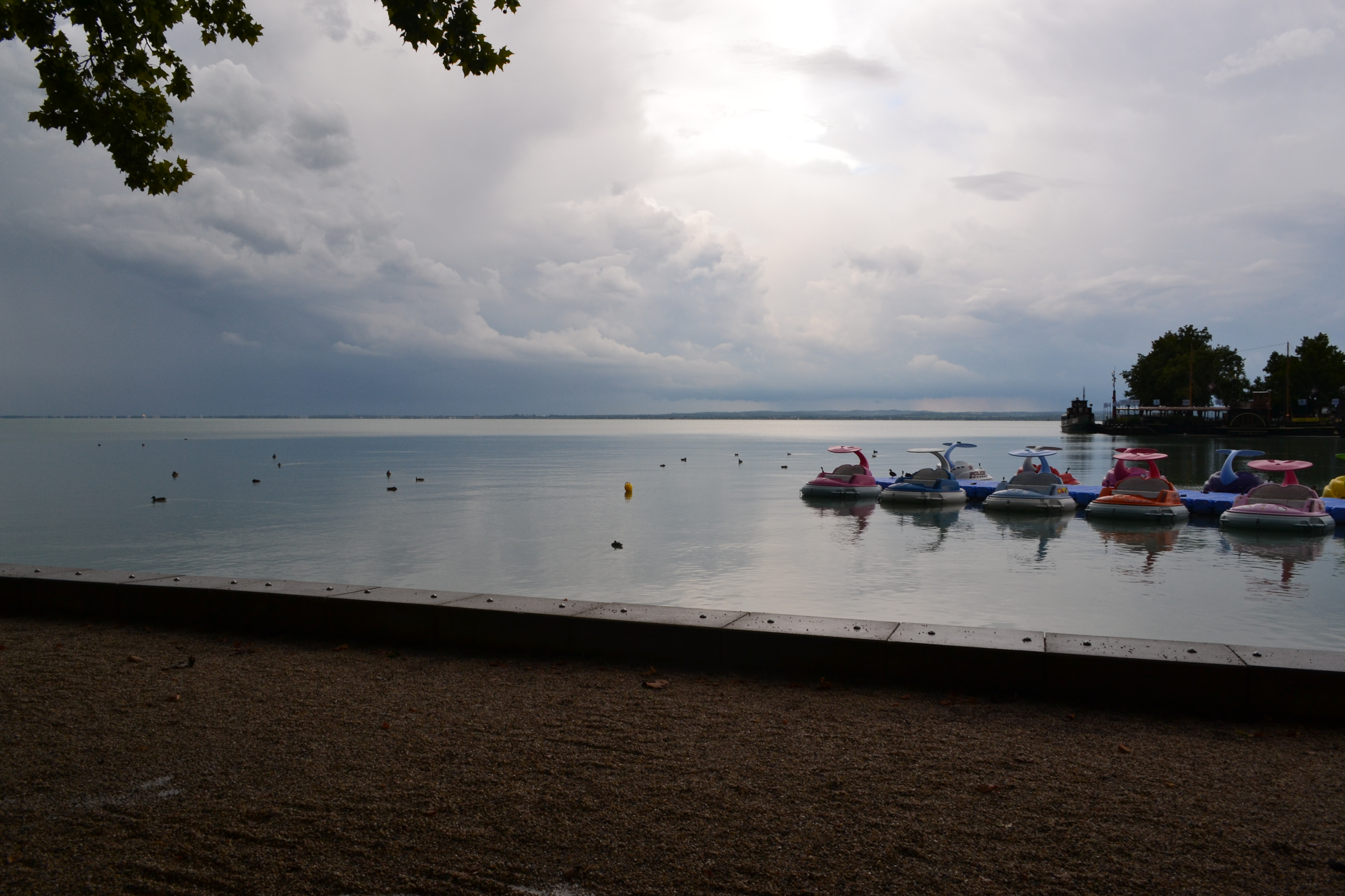 dsc_0264.JPG