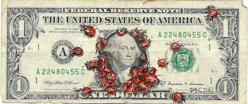 money-art-ladybug.jpg