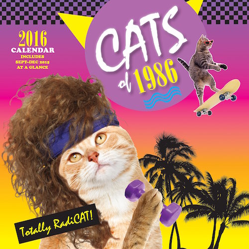 2016-calendar-cats.jpg