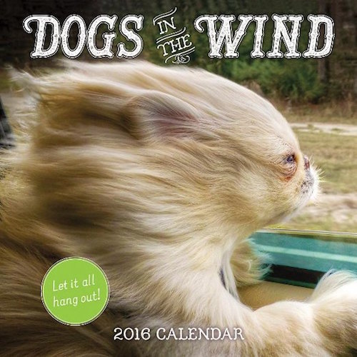 2016-calendar-dogs.jpg