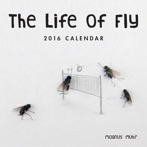 2016-calendar-fly.jpg