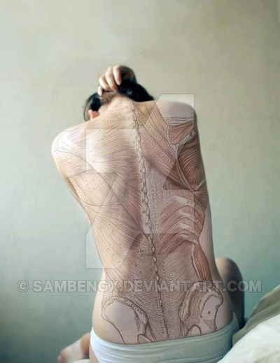 back-taturday-anatomy.jpg