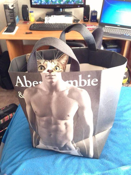 cat-right-place-right-time-abercrombie.jpg