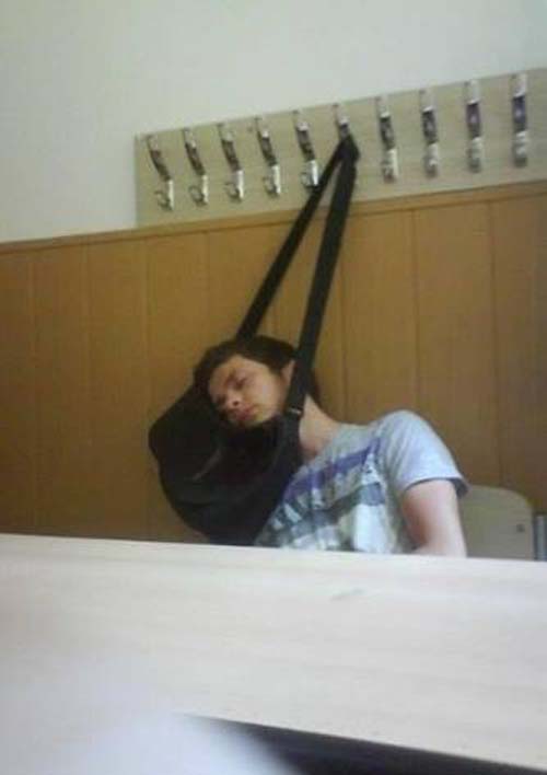 funniest-seen-in-class-purse-sleep.jpg