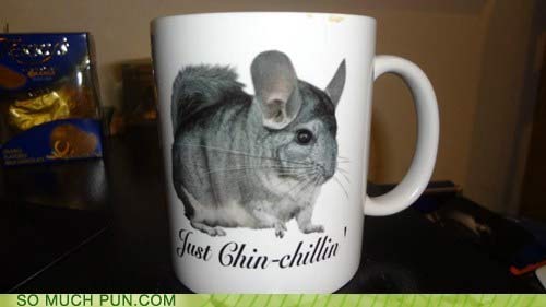 funny-coffee-mug-chin-chillin.jpg