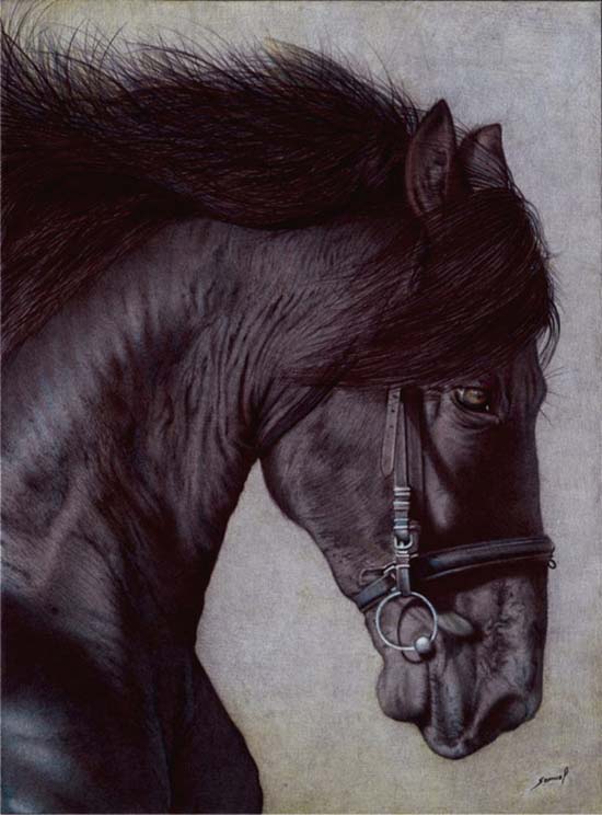 horse_head___ballpoint_pen_by_vianaarts-d6zg9r0.jpg