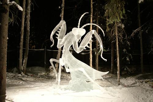 ice-sculptures-mantis.jpg
