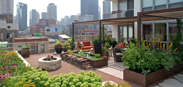 chicago-rooftop-gardens.jpg