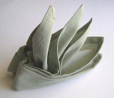 09-napkin-folding-bird-of-paradise.jpg