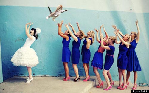 bride-cat-hurl1.jpg