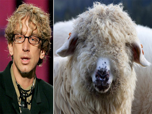 celeb-animals-dick-sheep.jpg