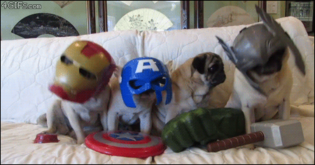 cheer-up-pictures-pug-avengers.gif