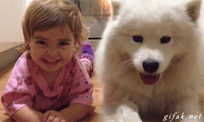 cheer-up-picure-dog-friends.gif