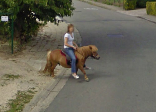 funny-streetview-minihorse.jpg