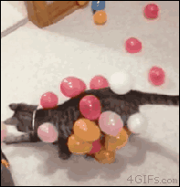 static-balloon-cat.gif