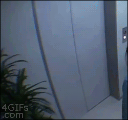 japanese-prank-elevator.gif