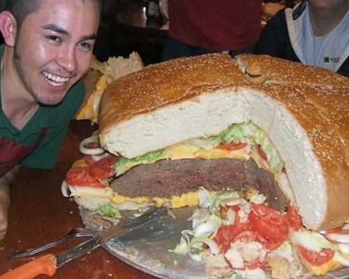 large-meals-hamburger.jpg