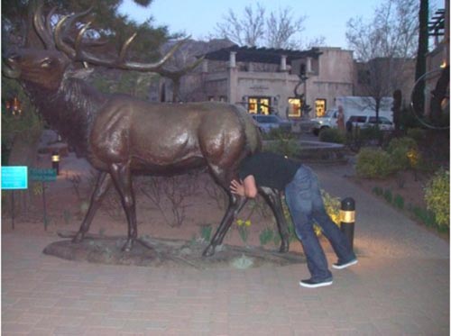 molesting-statues-moose.jpg