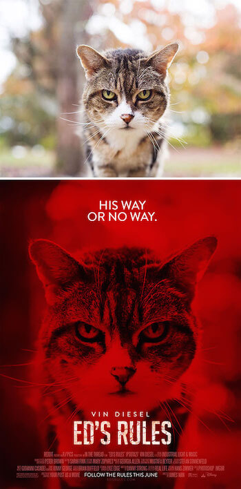 movie-poster-cat.jpg