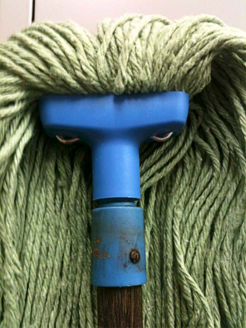 pareidolia-angry-mop.jpg