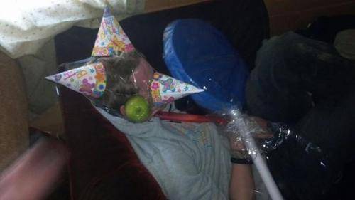 passed-out-cones.jpg