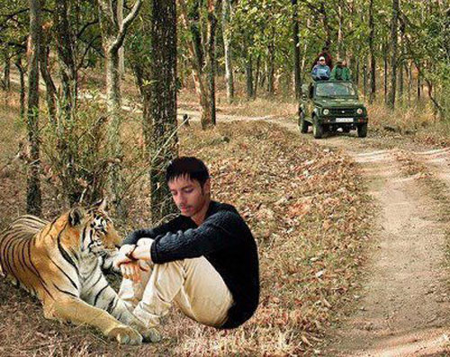 photoshop-vacation-roadside-tiger.jpg