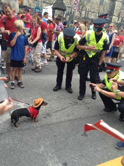 police-being-awesome-dog-mountie.jpg