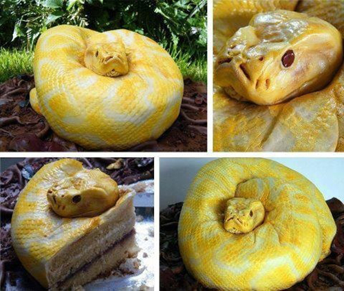 real-cake-snakecake.jpg
