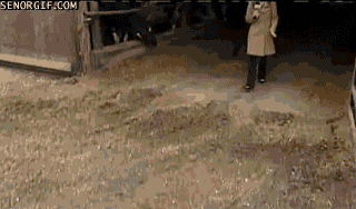 reporter-attack-rooster-funny.gif