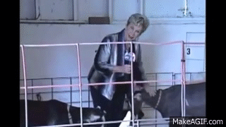 reporter-attacked-goat-funny.gif