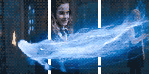 tumblr-gifs-hermione.gif